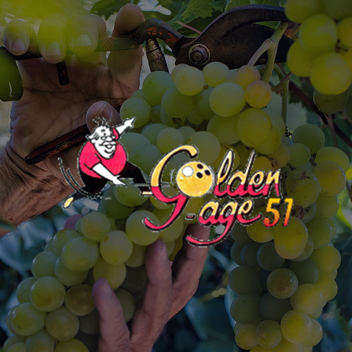 Tournoi des vendanges